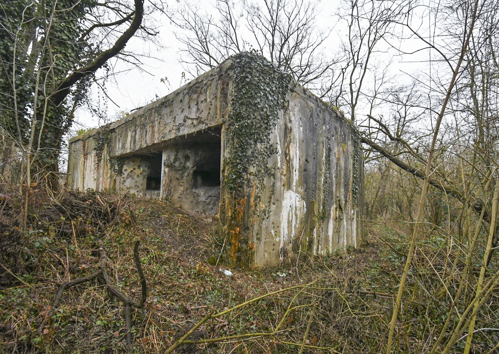 Ligne Maginot - 11/1 - CHALAMPE BERGE NORD - (Casemate d'infanterie - Double) - Coté sud et les créneaux, vue depuis le Rhin