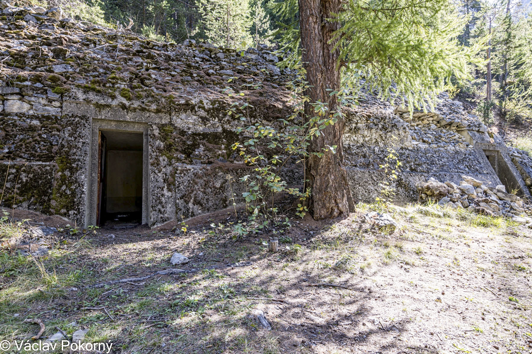 Ligne Maginot - LES SAGNES - (Abri) - 