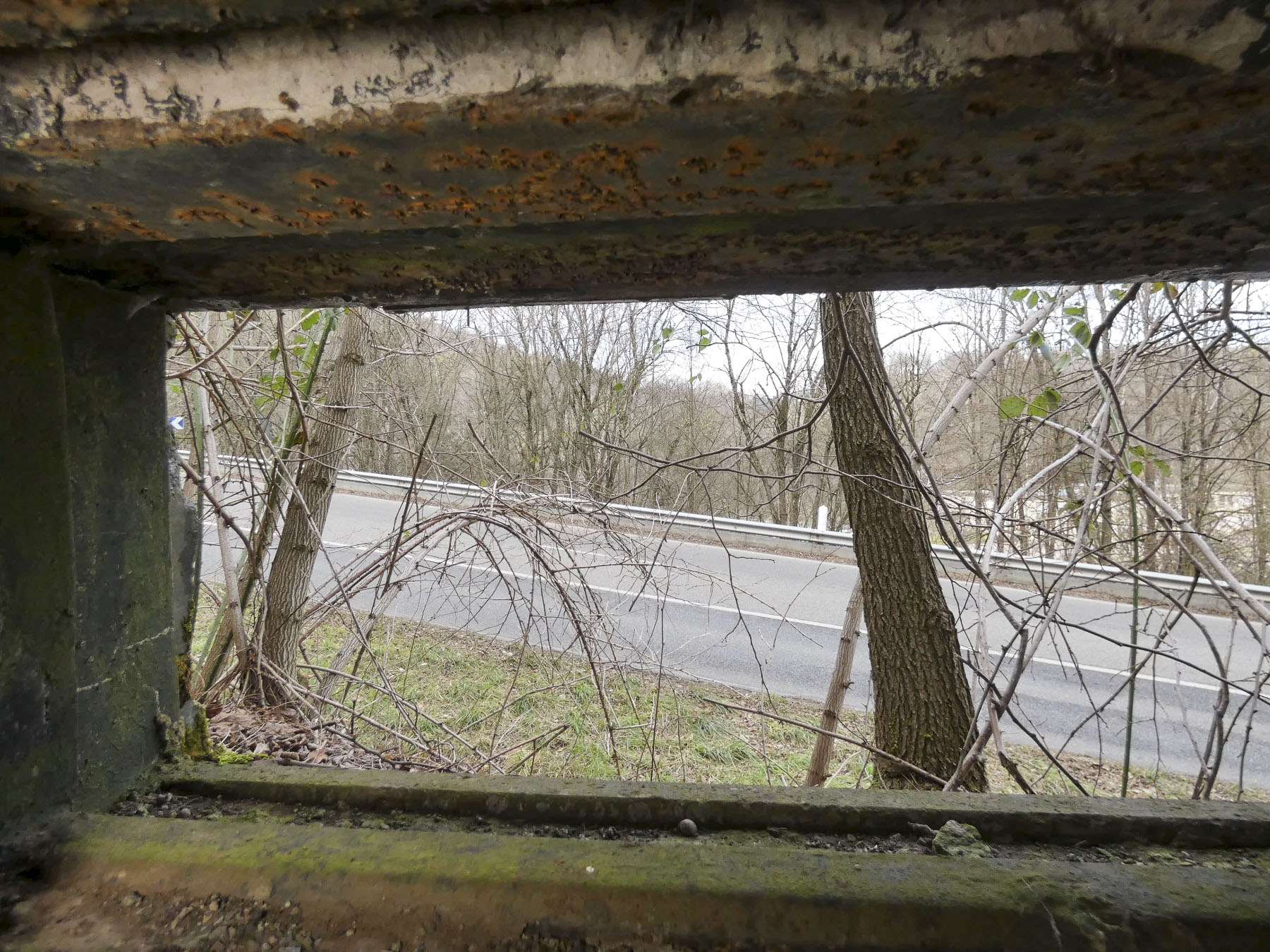 Ligne Maginot - GALGENBERG EST - (Blockhaus pour arme infanterie) - La vue depuis le créneaux frontal.