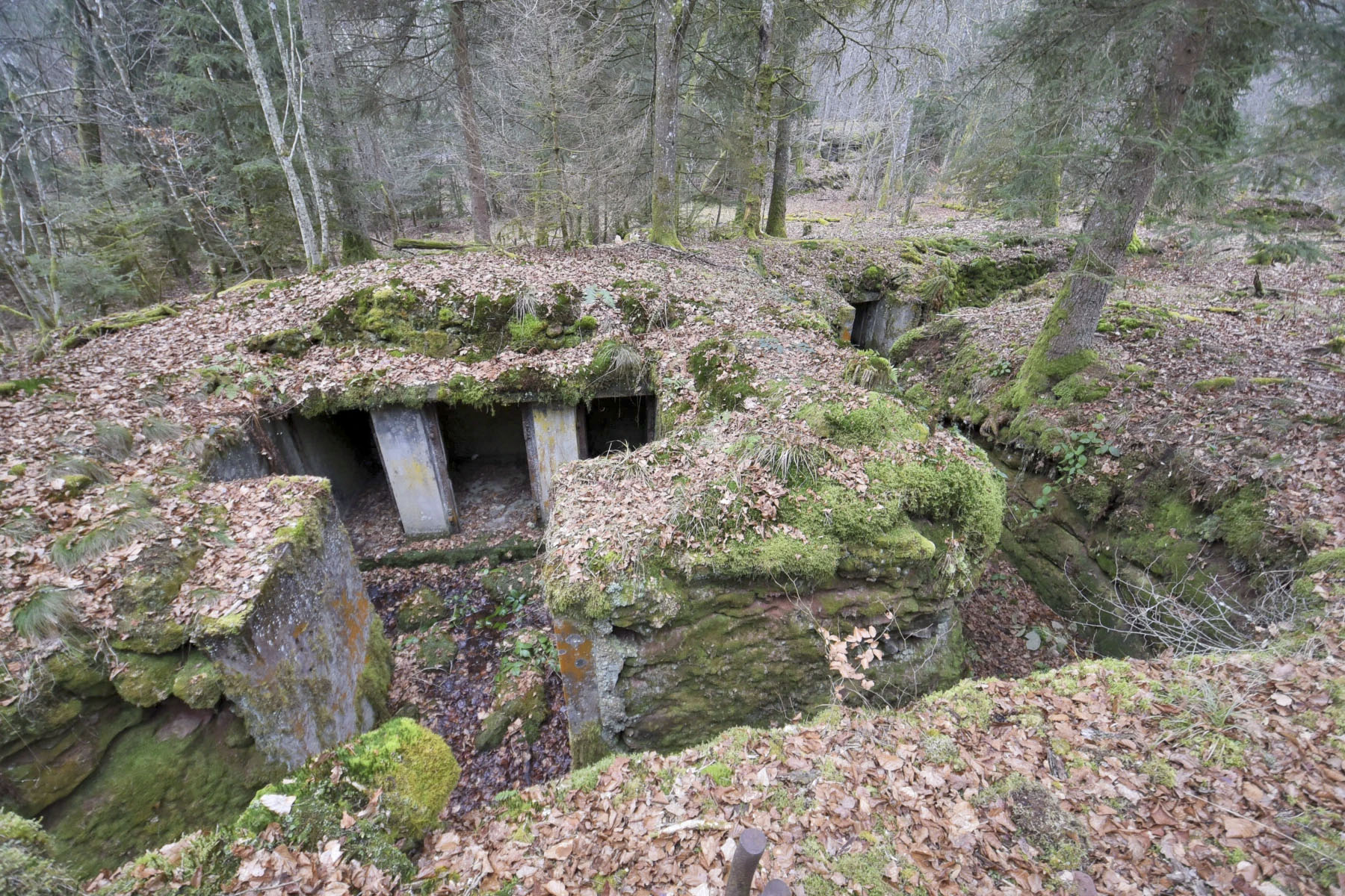 Ligne Maginot - GLASBRONN - (Casemate d'infanterie - Simple) - La tranchée desservant les niches de stockage
