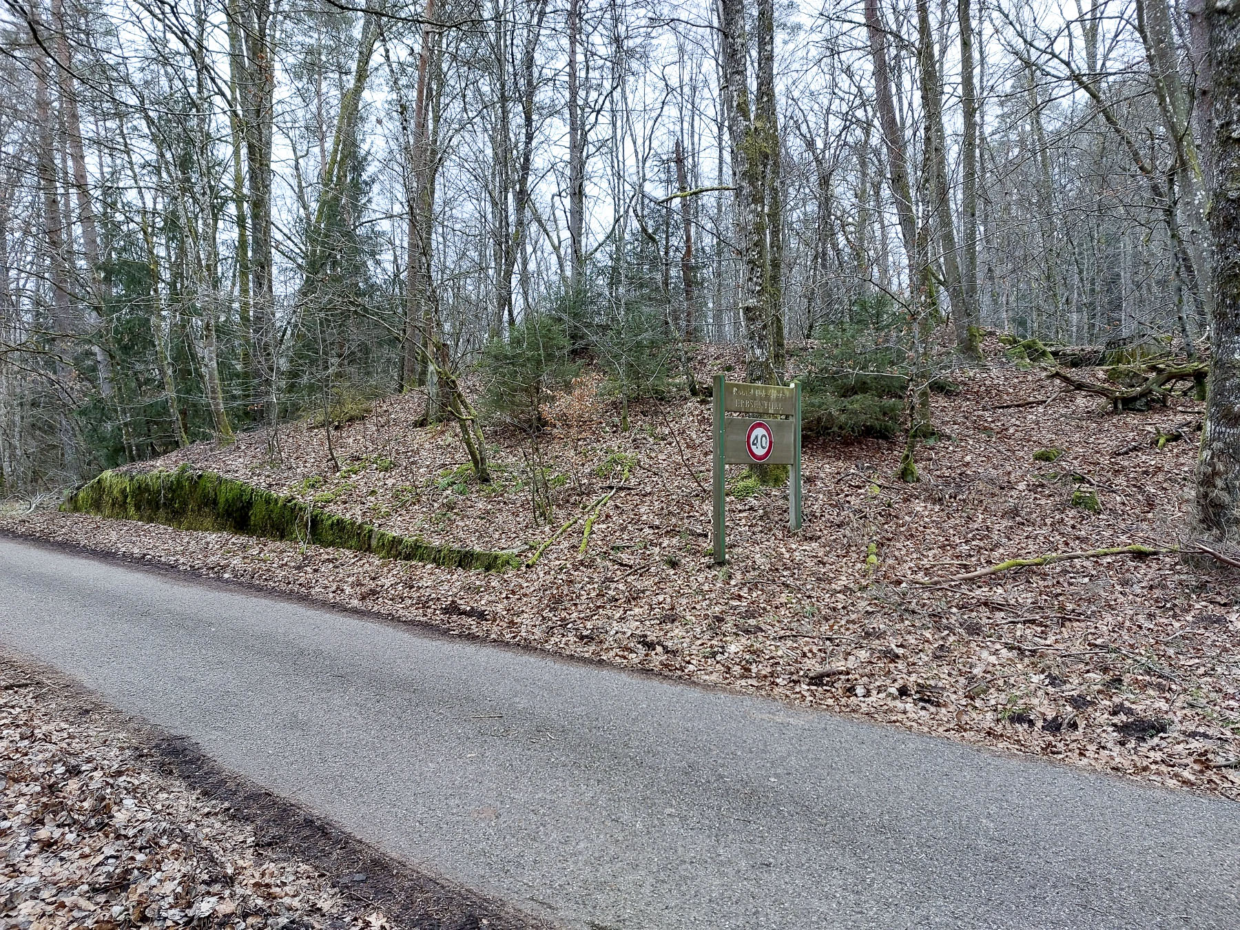 Ligne Maginot - GLASBRONN - (Casemate d'infanterie - Simple) - Le talus de protection et le muret de soutènement contre la route forestière de l'Erbsenthal 