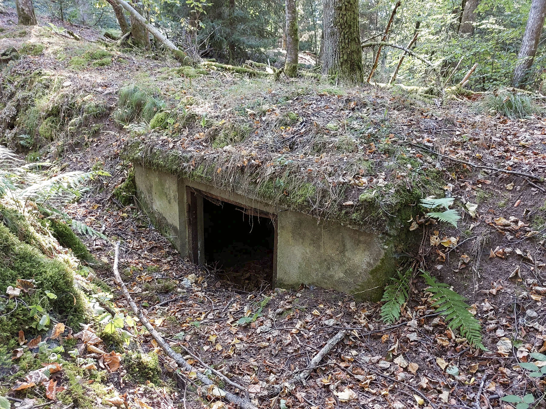 Ligne Maginot - GLASBRONN - (Casemate d'infanterie - Simple) - Une première niche de stockage au départ du boyau d'accès depuis la casemate