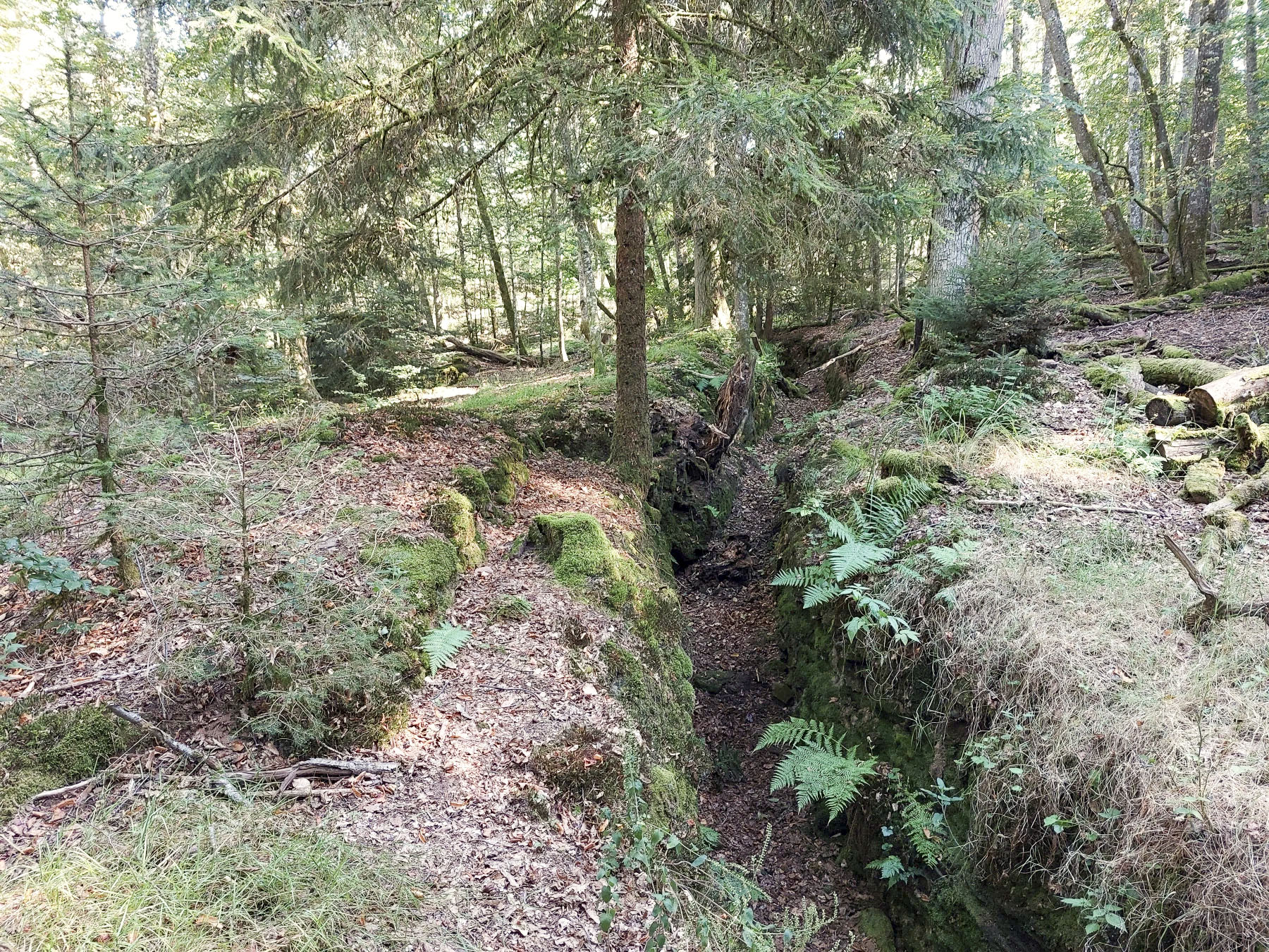 Ligne Maginot - GLASBRONN - (Casemate d'infanterie - Simple) - Le boyau d'accès et les arrières de la casemate sont couverts depuis la tranchée par une position de tir avec parapet en pierres sèches