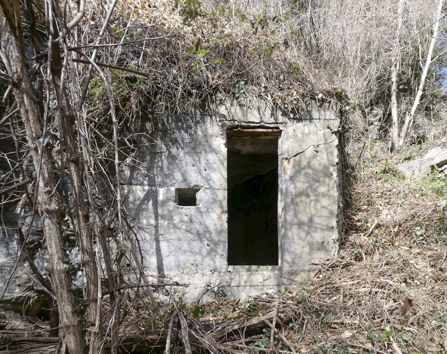 Ligne Maginot - VALABRES - (Abri) - 








L'abri 
