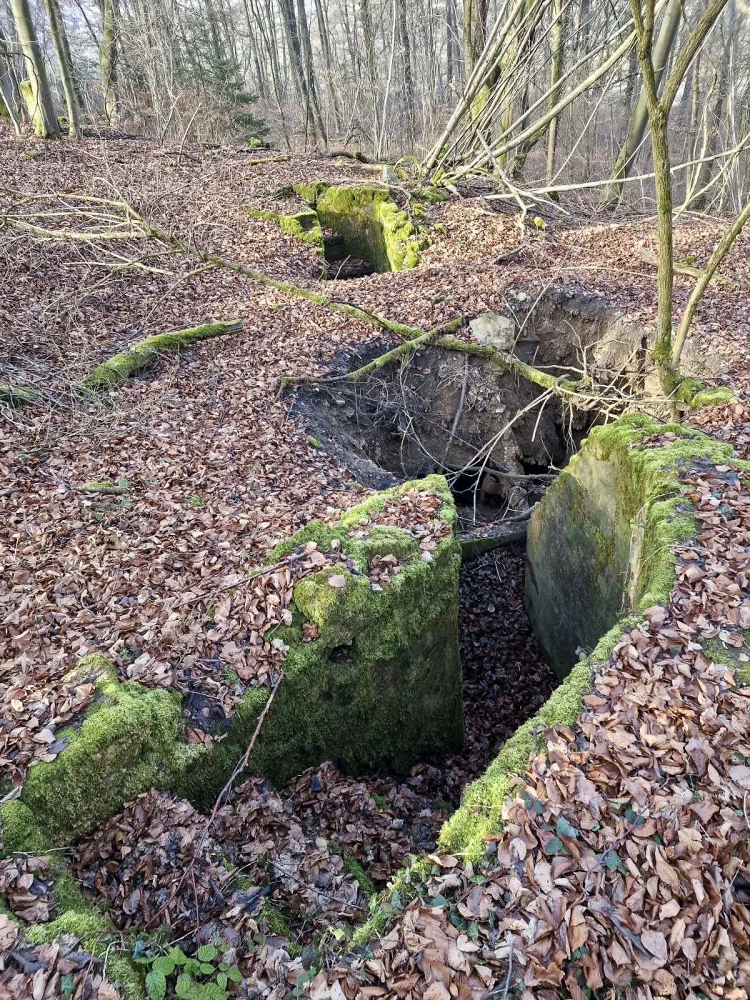 Ligne Maginot - MEISTERBUSCH 11 - (Abri) - L'ouvrage complet