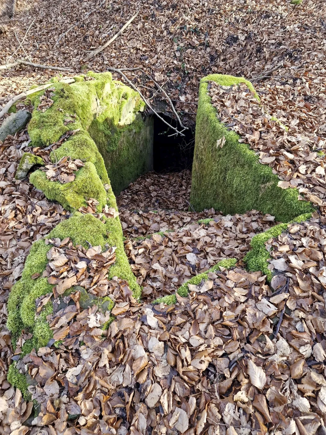 Ligne Maginot - MEISTERBUSCH 11 - (Abri) - Première entrée