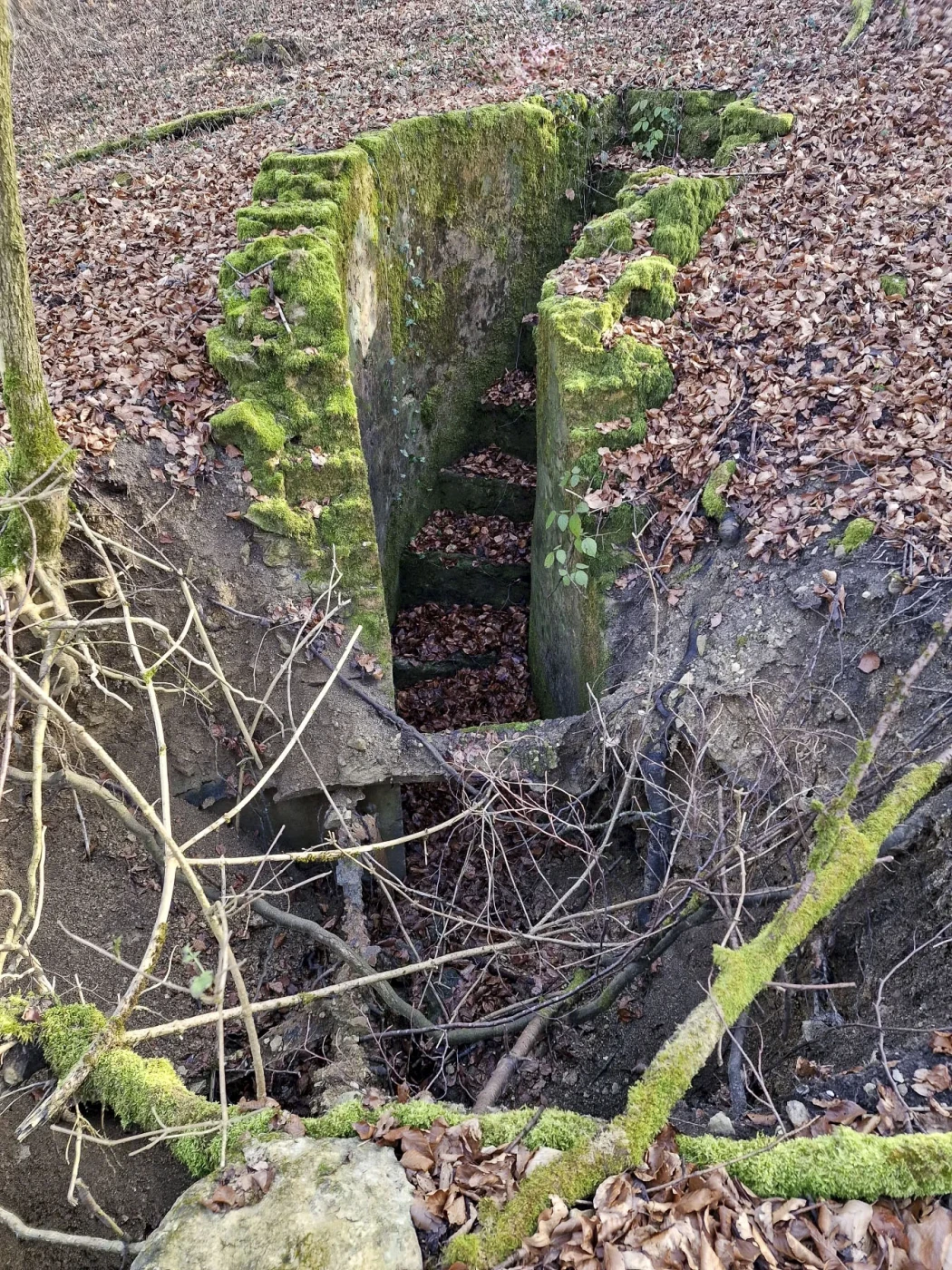 Ligne Maginot - MEISTERBUSCH 11 - (Abri) - Deuxième entrée