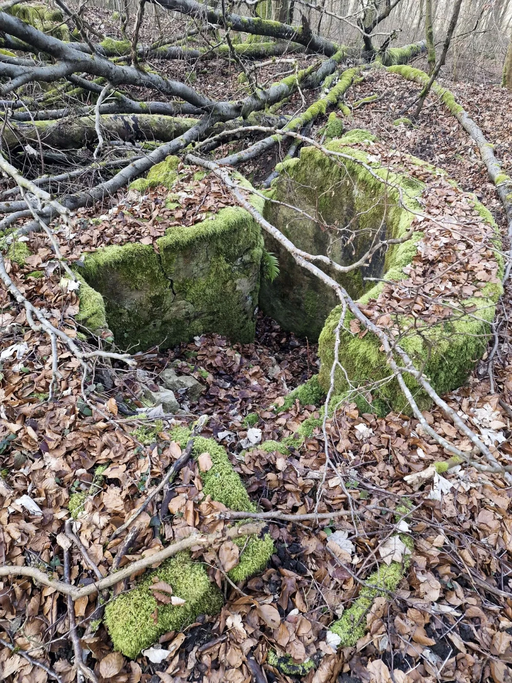 Ligne Maginot - MEISTERBUSCH 10 - (Cuve pour arme d'infanterie) - 