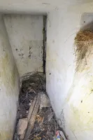 Ligne Maginot - F - (Chambre de coupure) - 
