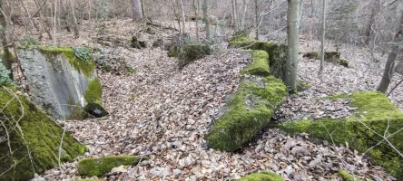 Ligne Maginot - PFAFFENBRONN 4 - (Blockhaus pour arme infanterie) - Reste du blockhaus