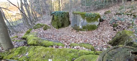 Ligne Maginot - PFAFFENBRONN 4 - (Blockhaus pour arme infanterie) - Reste du blockhaus