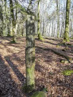 Ligne Maginot - G432 - (Chambre de coupure) - Point de raccordement pour les boitiers en position haute
