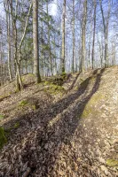 Ligne Maginot - HEILIGENBRONN  2 - (Abri) - Tranchée d'accès à l'abri. 