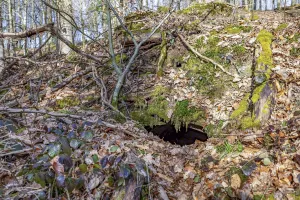 Ligne Maginot - HEILIGENBRONN  2 - (Abri) - L'entrée