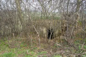 Ligne Maginot - 81 - LE PLATEAU - (Blockhaus pour arme infanterie) - Face arrière