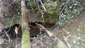 Ligne Maginot - BOIS DE SIGNY 1 - (Abri) - L'entrée 