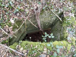 Ligne Maginot - BOIS DE SIGNY 1 - (Abri) - L'entrée en puits