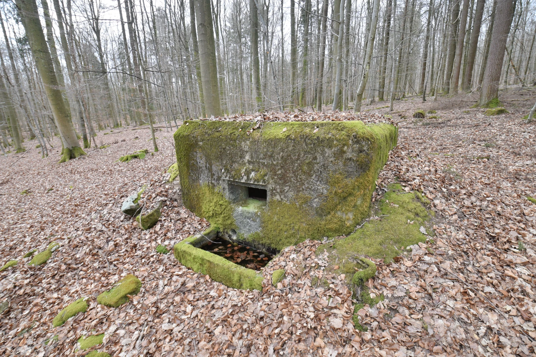Ligne Maginot - FM53 - VOEGELSMATT 3 - (Blockhaus pour arme infanterie) - 