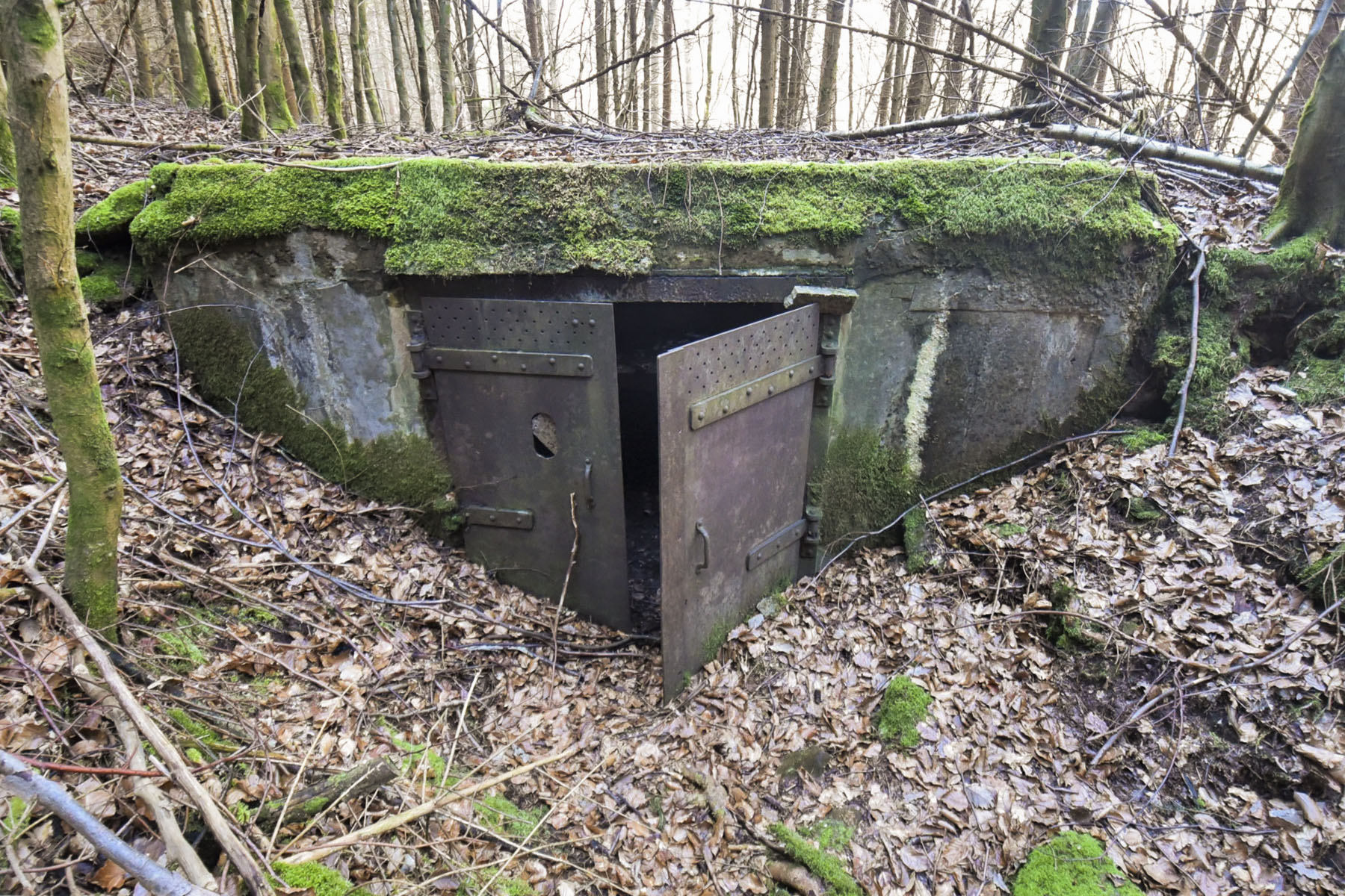 Ligne Maginot - C12 - FINSTERKOPF - (Blockhaus pour canon) - 
