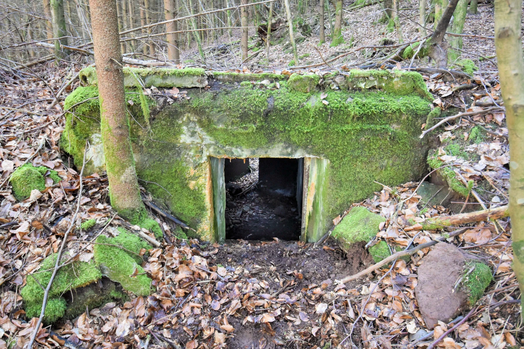 Ligne Maginot - C12 - FINSTERKOPF - (Blockhaus pour canon) - 