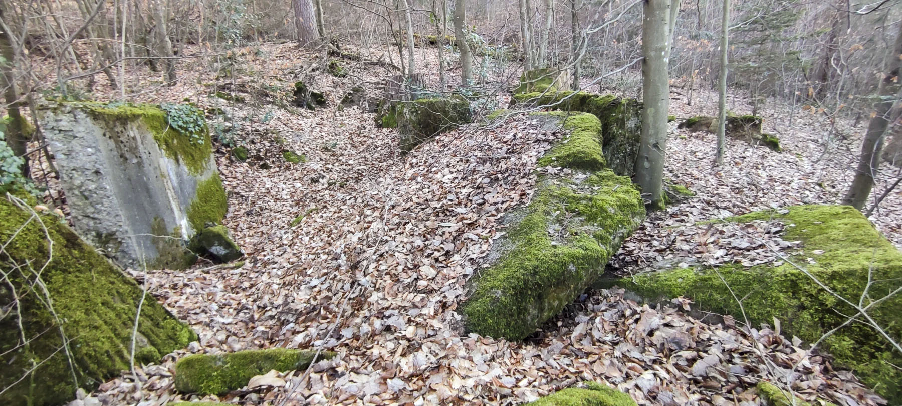 Ligne Maginot - PFAFFENBRONN 4 - (Blockhaus pour arme infanterie) - Reste du blockhaus