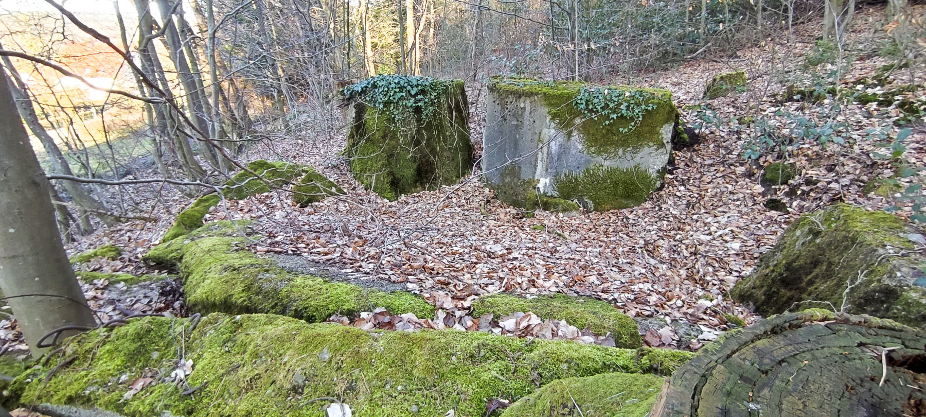 Ligne Maginot - PFAFFENBRONN 4 - (Blockhaus pour arme infanterie) - Reste du blockhaus