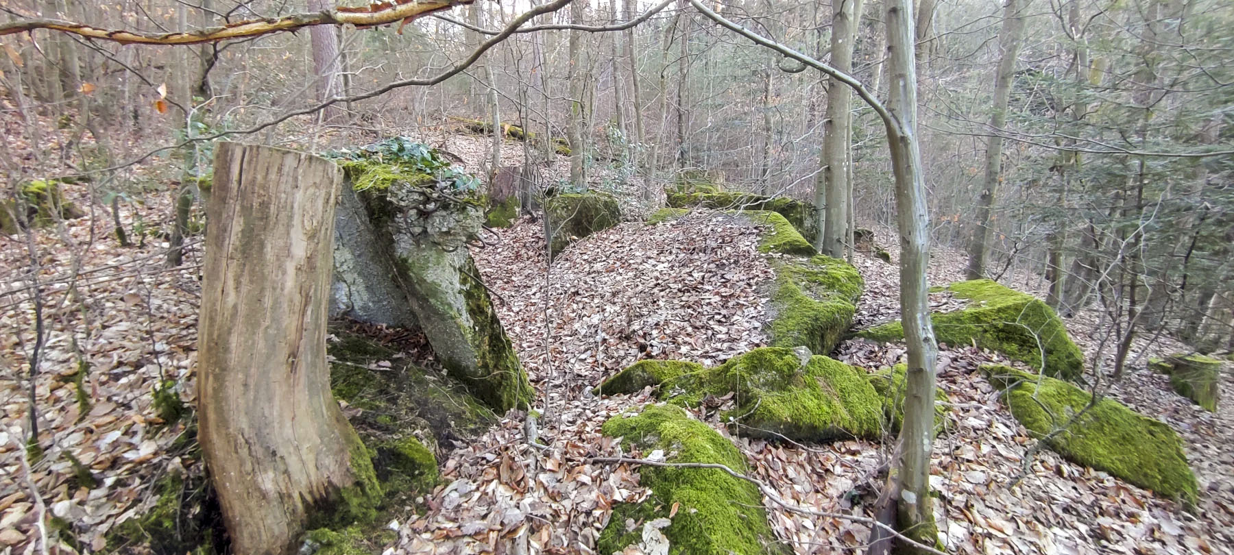 Ligne Maginot - PFAFFENBRONN 4 - (Blockhaus pour arme infanterie) - Reste du blockhaus