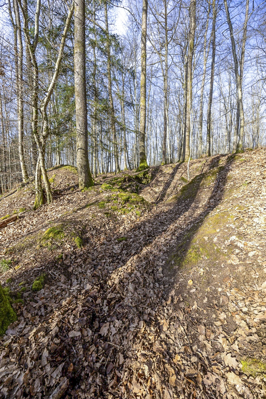 Ligne Maginot - HEILIGENBRONN  2 - (Abri) - Tranchée d'accès à l'abri. 
