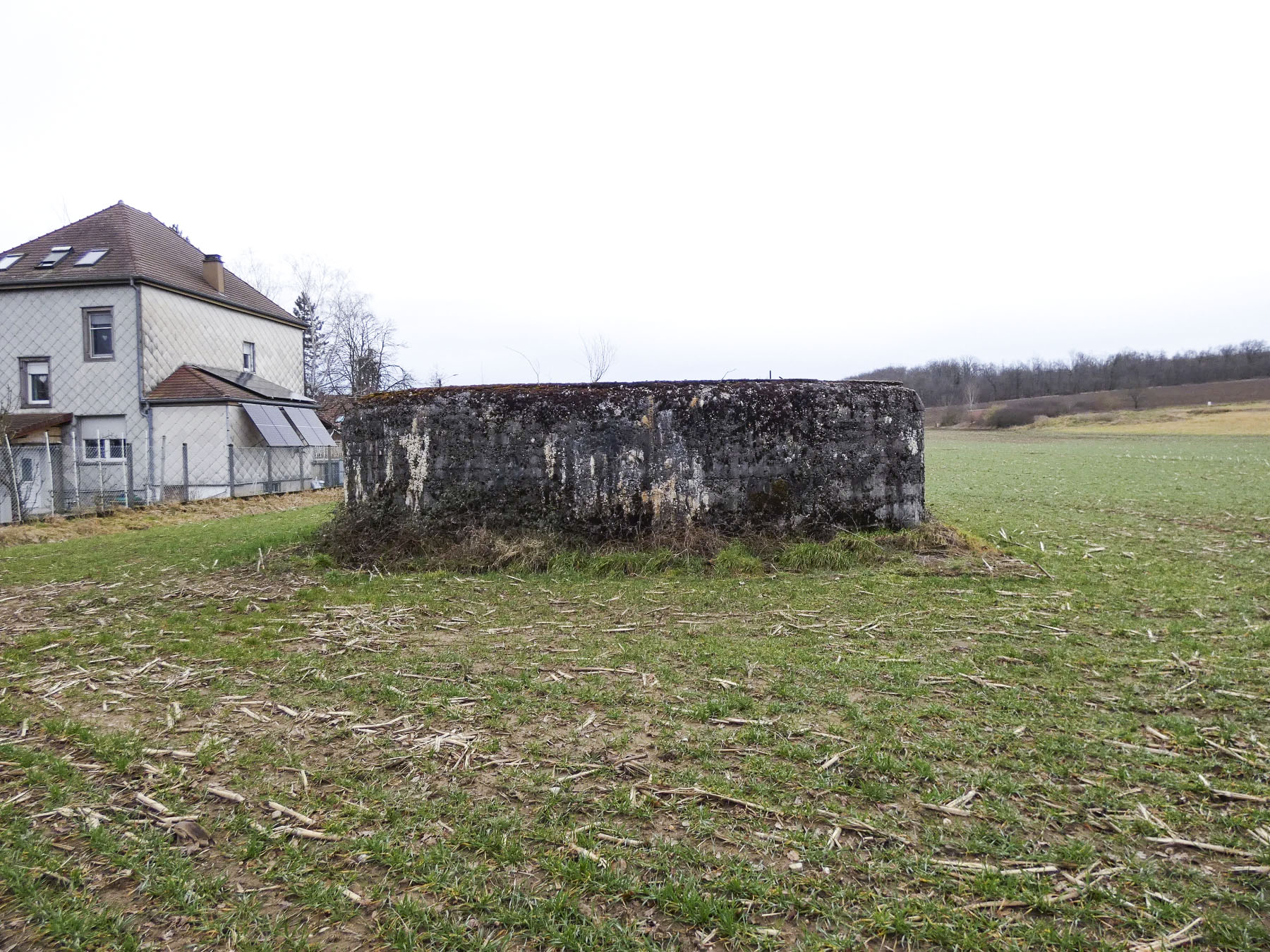 Ligne Maginot - GARE DE KALHAUSEN 2 - (Blockhaus pour arme infanterie) - La façade frontale vers le nord.