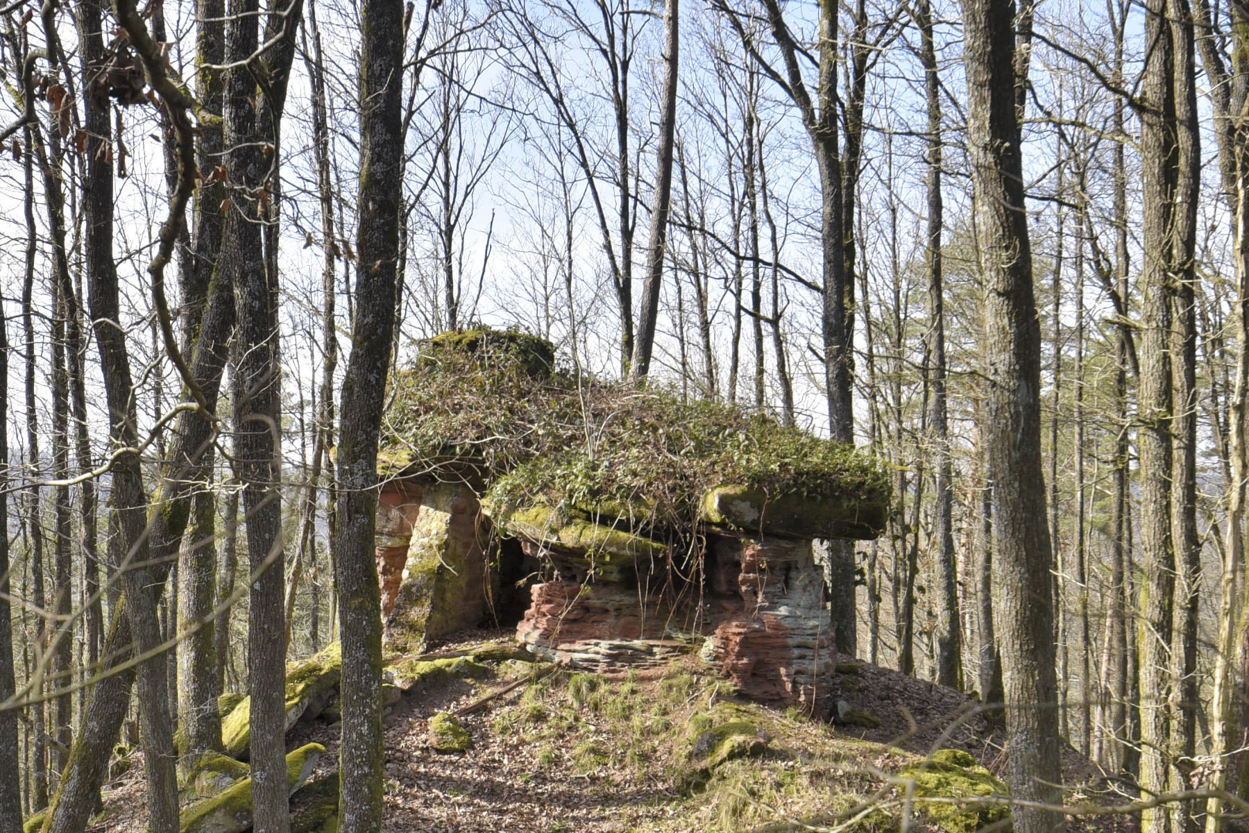 Ligne Maginot - ROTHENBERG - (Observatoire d'infanterie) - 