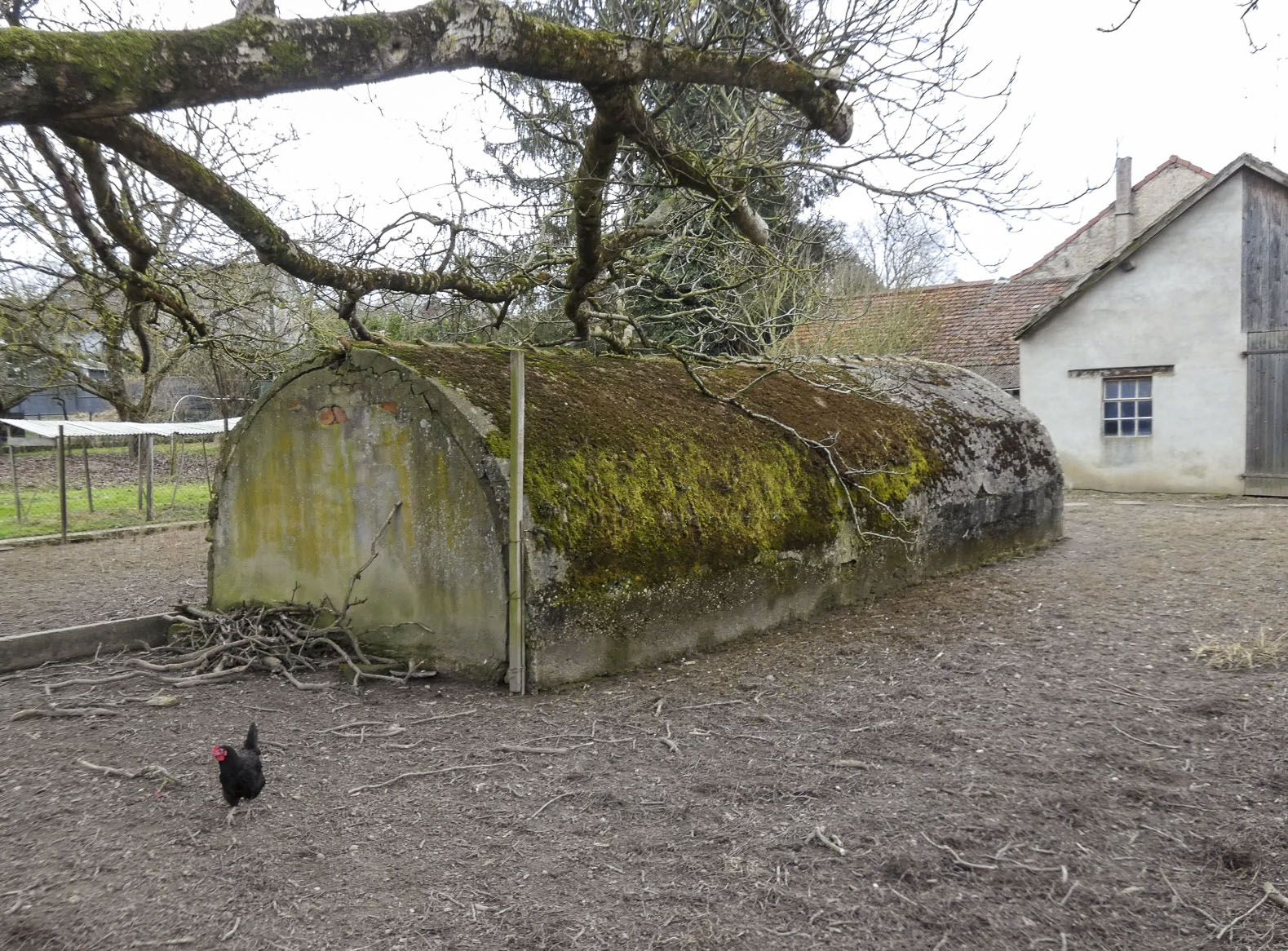 Ligne Maginot - HERBITZHEIM  10 - (Abri) - L'abri en tôle métro recouvert d'une fine couche de béton.