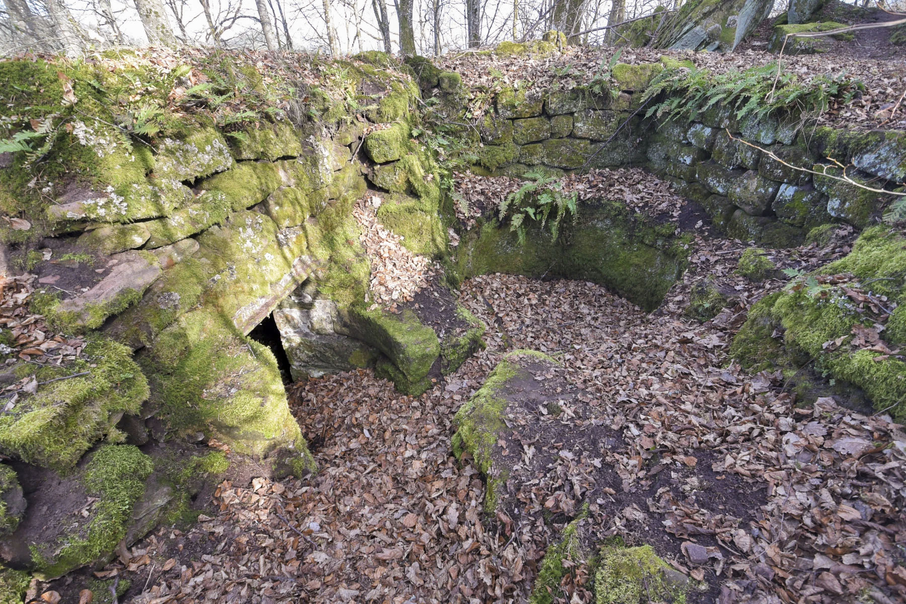 Ligne Maginot - ROTHENBOURG  CHATEAU - (Observatoire d'infanterie) - 