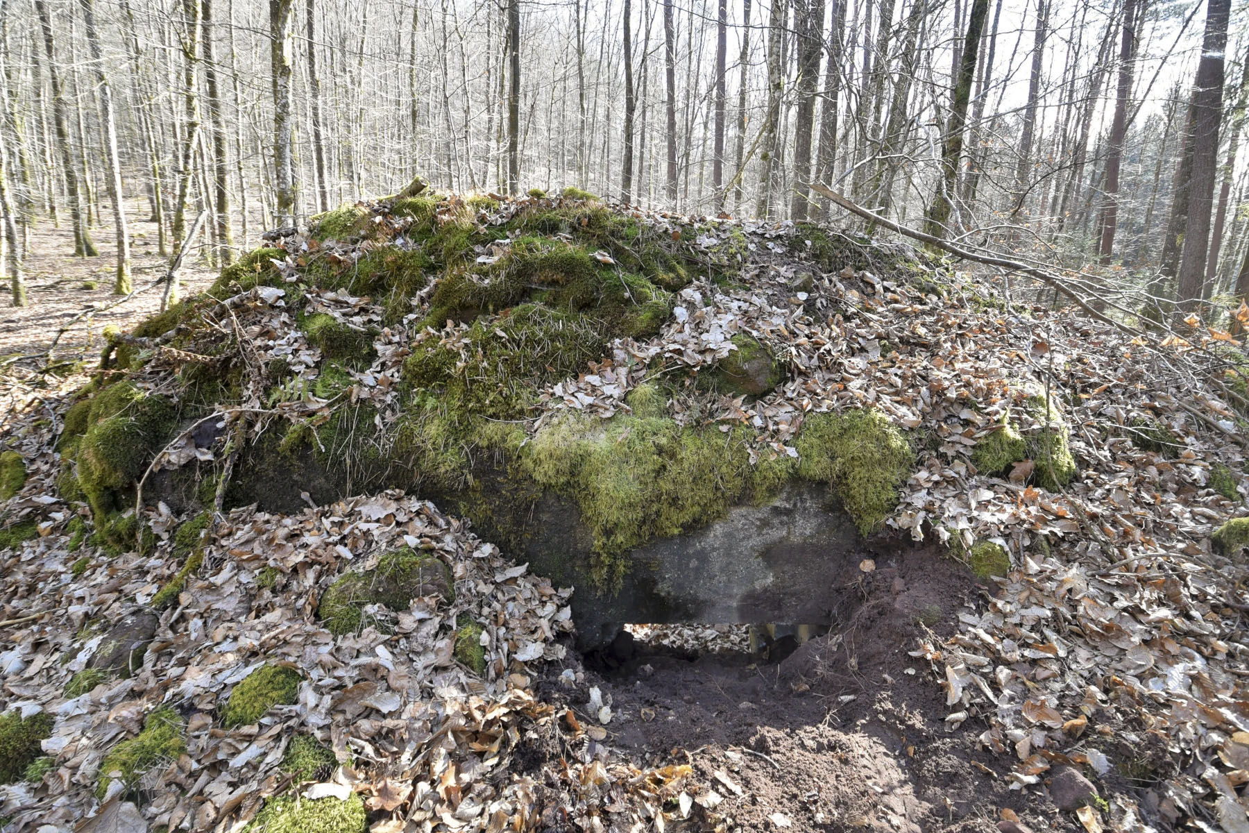 Ligne Maginot - ROTHENBOURG 1 - (Blockhaus pour canon) - 