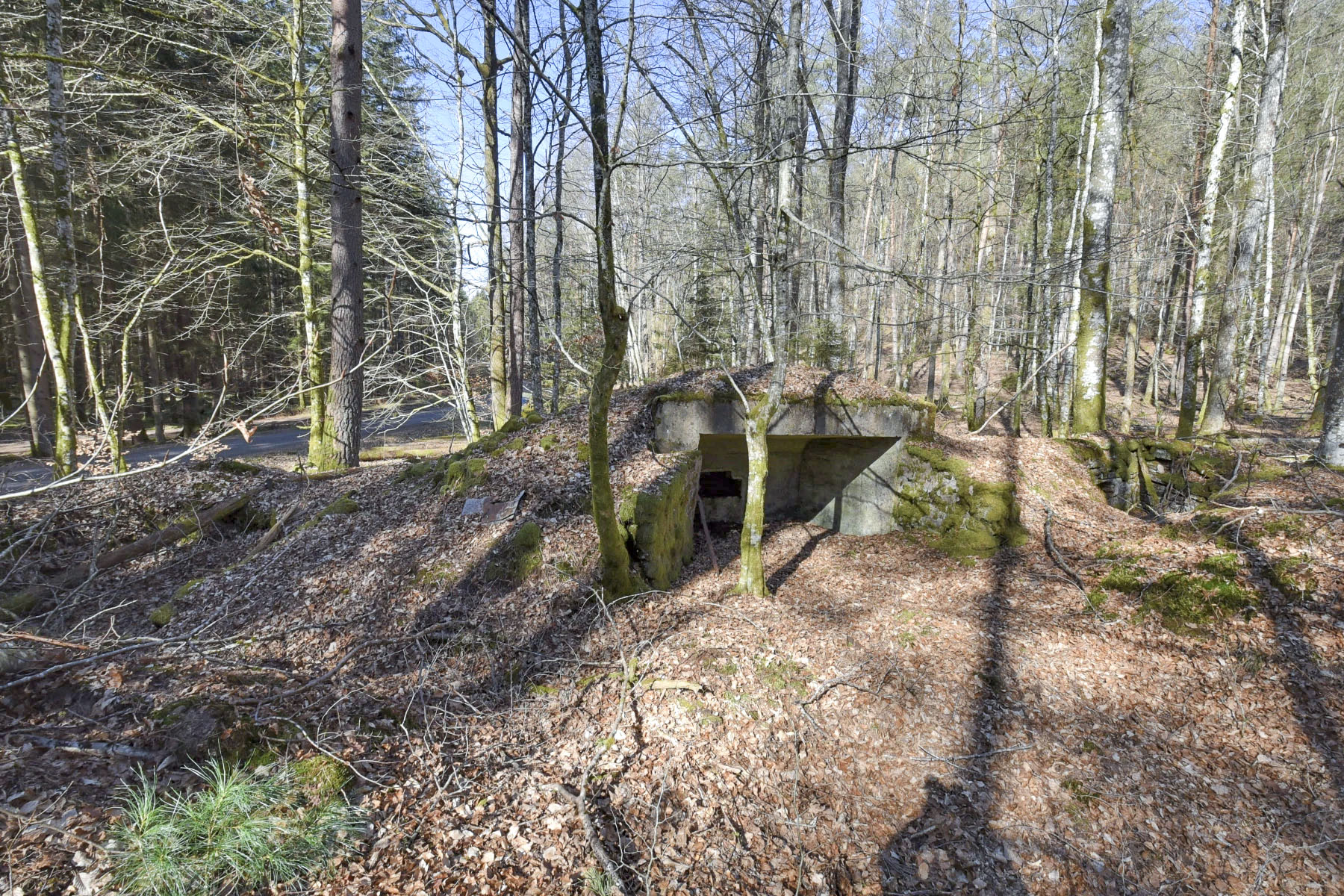 Ligne Maginot - ROTHENBOURG 1 - (Blockhaus pour canon) - 