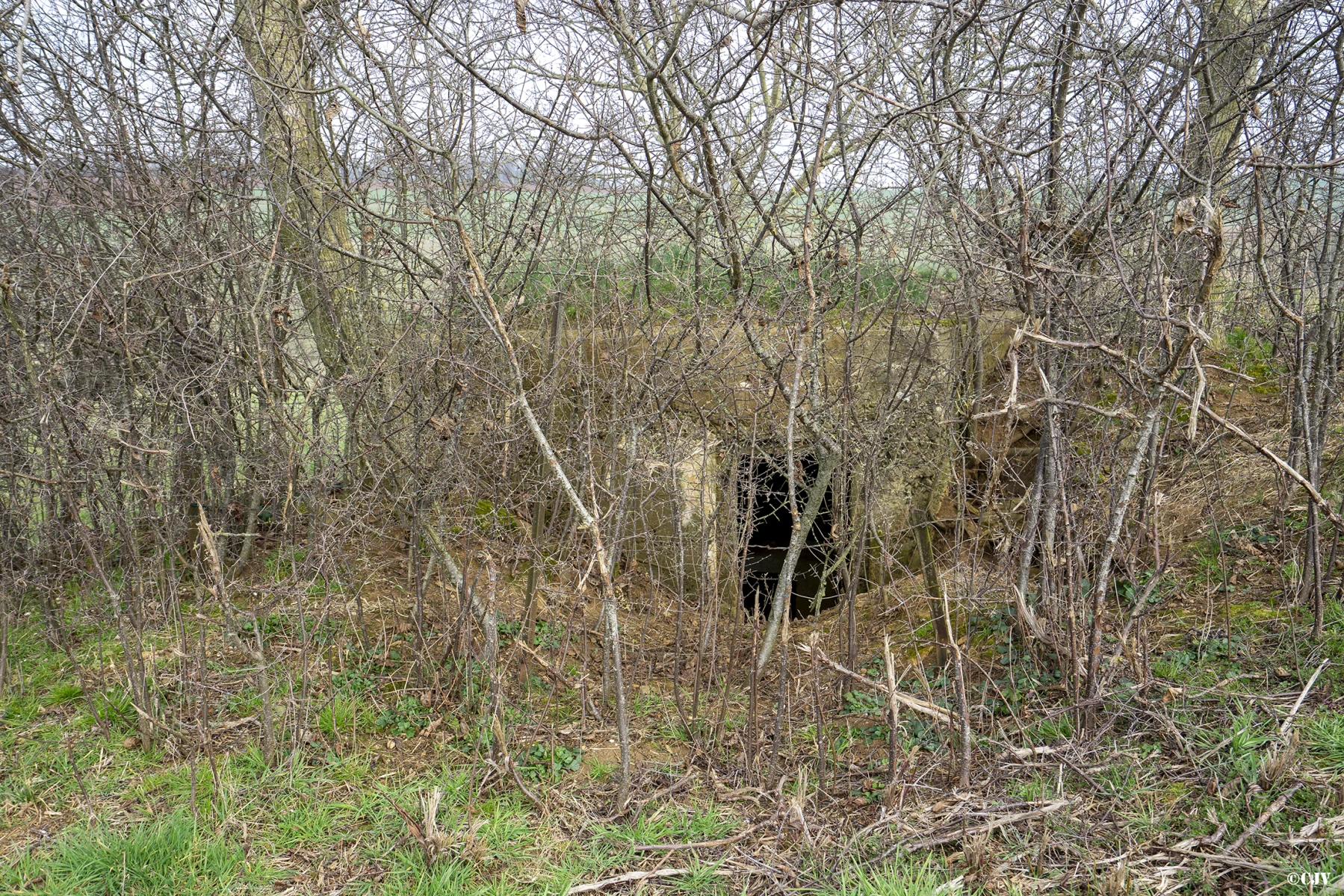 Ligne Maginot - 81 - LE PLATEAU - (Blockhaus pour arme infanterie) - Face arrière