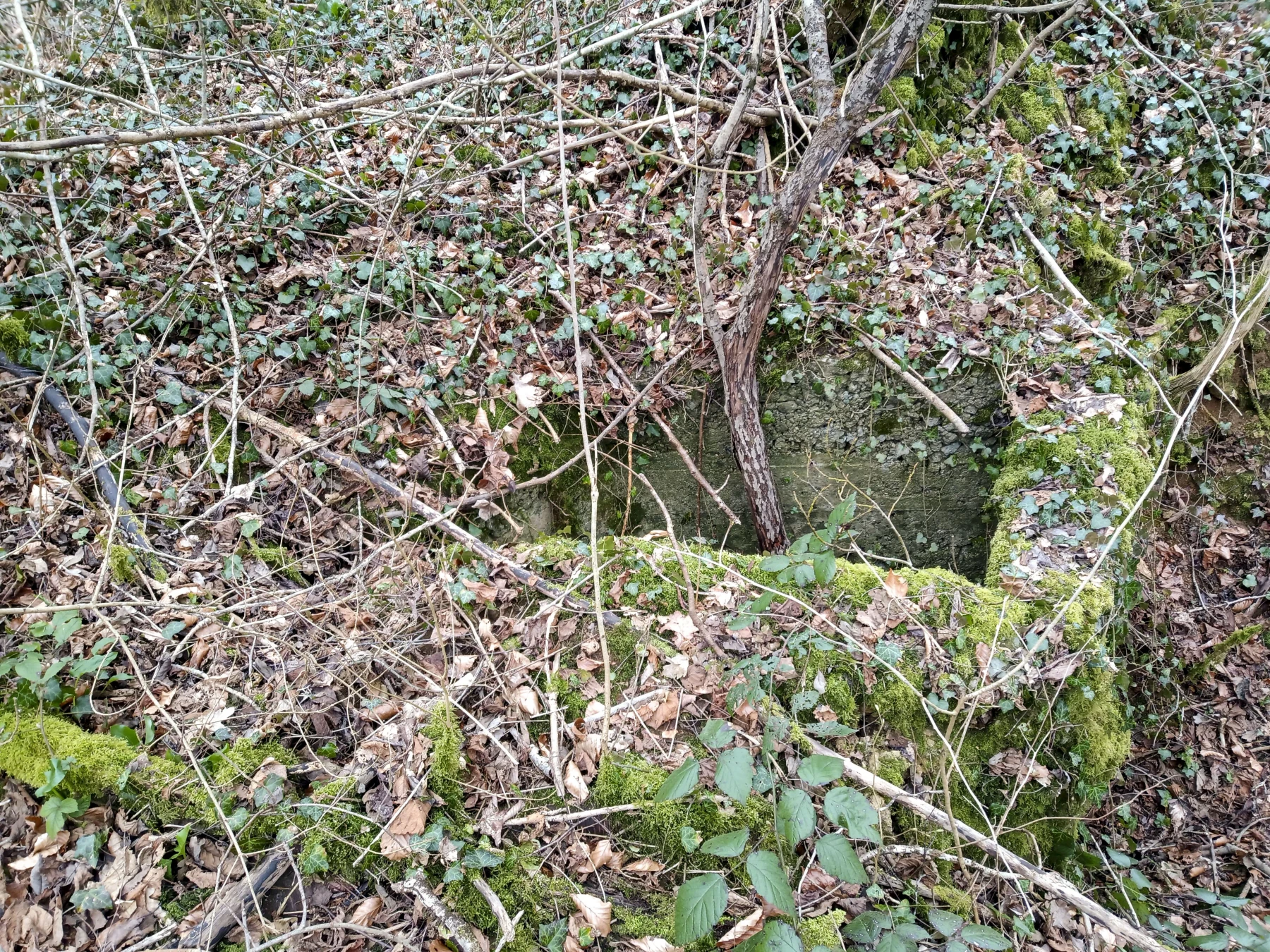 Ligne Maginot - BOIS DE SIGNY 1 - (Abri) - L'entrée en puits