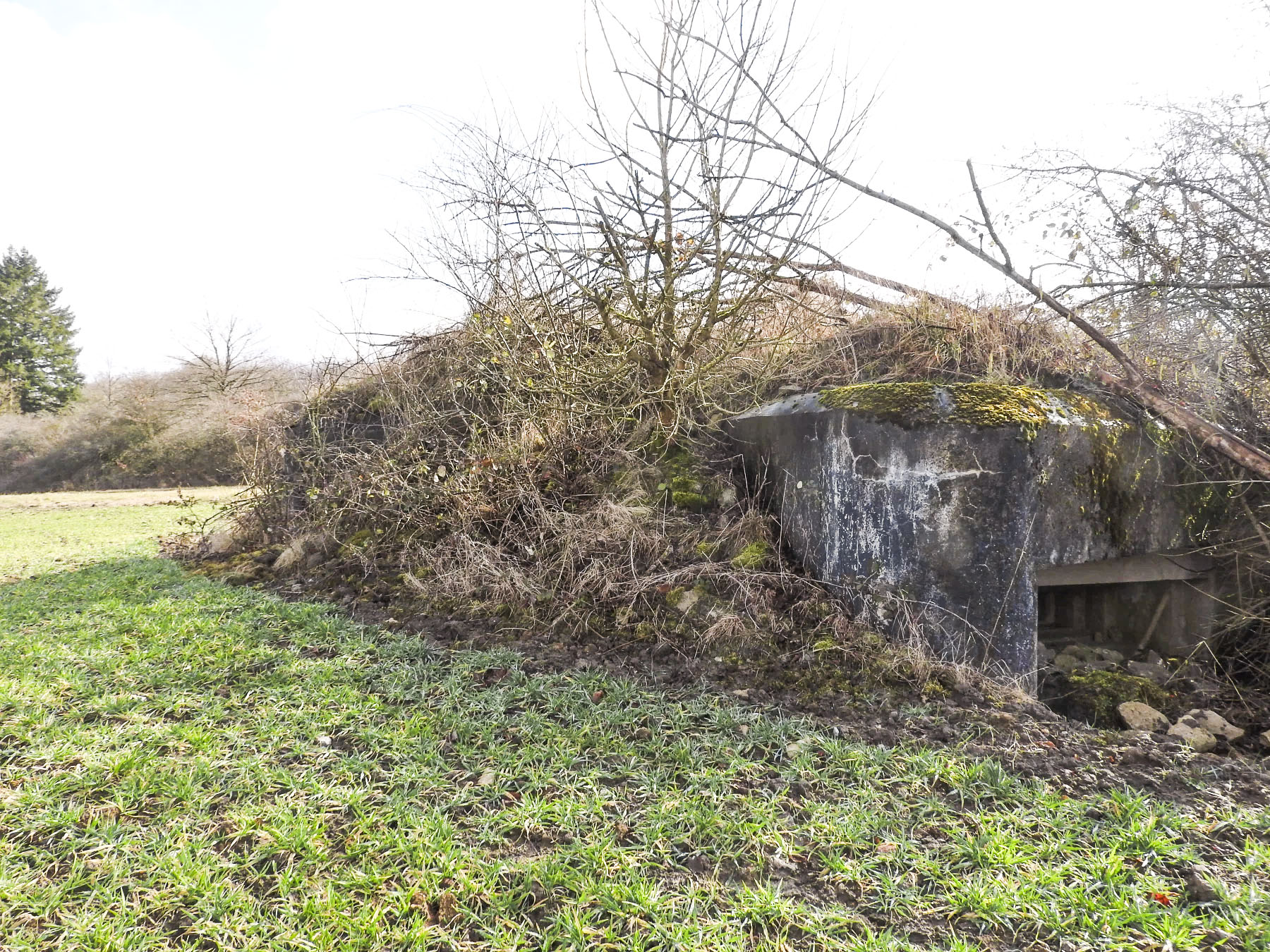 Ligne Maginot - PASSAGE à NIVEAU - (Blockhaus pour arme infanterie) - La façade de tir ouest.