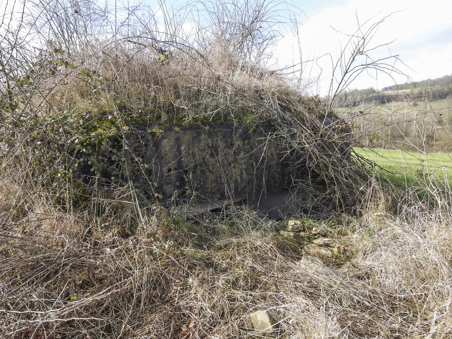 Ligne Maginot - PASSAGE à NIVEAU - (Blockhaus pour arme infanterie) - La façade de tir est.