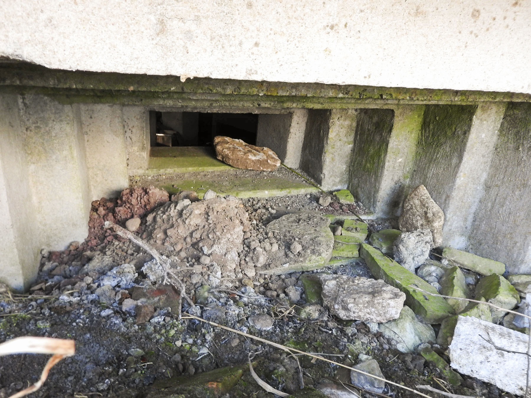 Ligne Maginot - PASSAGE à NIVEAU - (Blockhaus pour arme infanterie) - La façade de tir est.