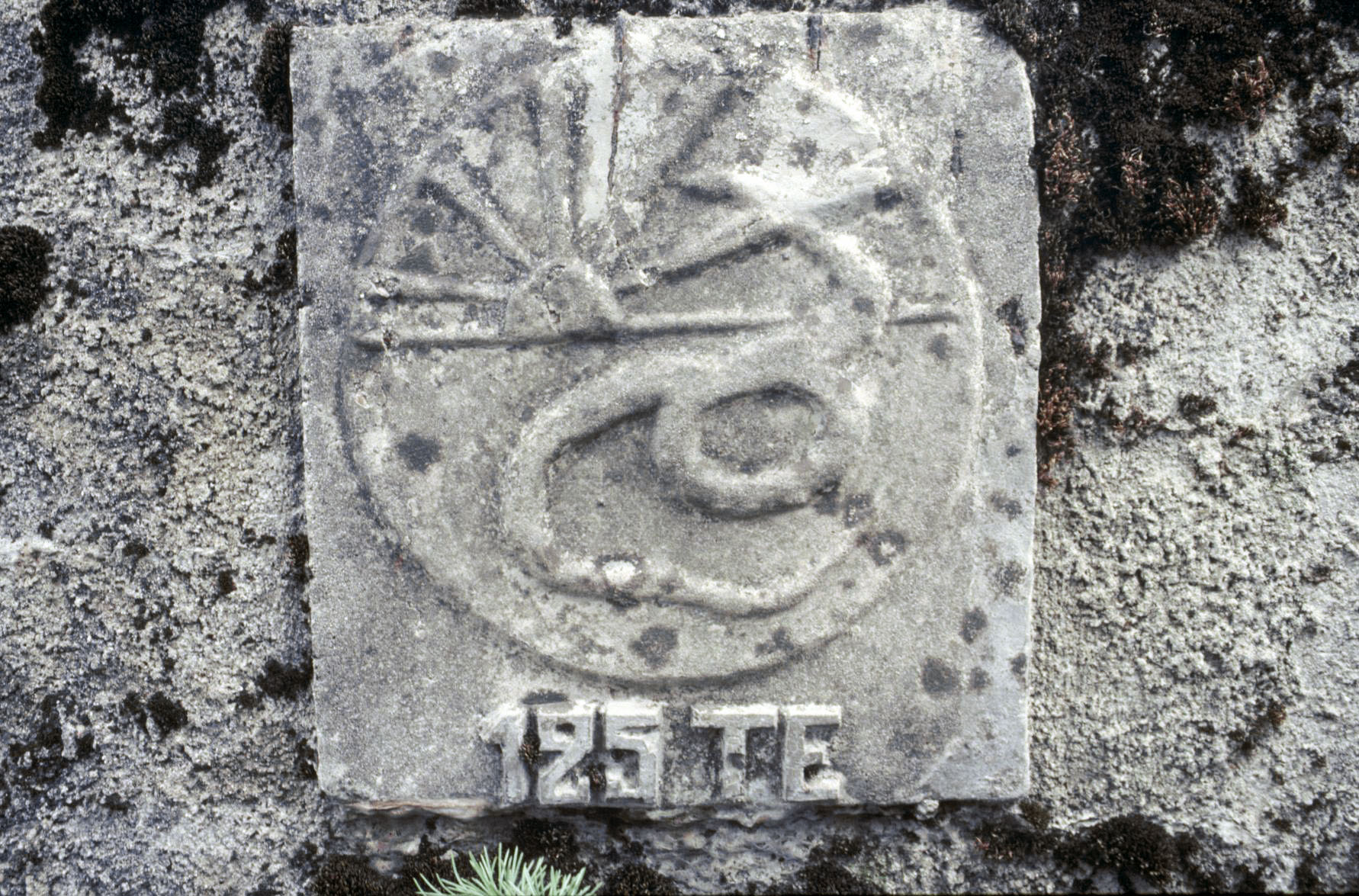 Ligne Maginot - ELSENBERG 4 - (Blockhaus pour arme infanterie) - Insigne