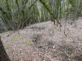 Ligne Maginot - BARBONNET 5 - (Cuve pour arme d'infanterie) - La tranchée d'accès.