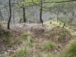Ligne Maginot - BARBONNET 5 - (Cuve pour arme d'infanterie) - Environnement
Cuve 2