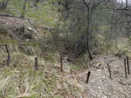 Ligne Maginot - BARBONNET 5 - (Cuve pour arme d'infanterie) - Environnement
Cuve 2