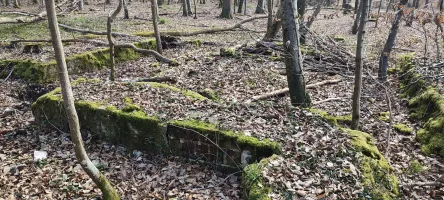 Ligne Maginot - GRUENDEL 2 - (Blockhaus de type indéterminé) - Restes de la structure