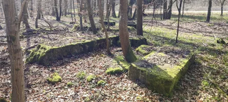 Ligne Maginot - GRUENDEL 2 - (Blockhaus de type indéterminé) - Reste de la structure