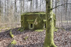 Ligne Maginot - FM20 - VOEGELSMATT 7 - (Blockhaus pour arme infanterie) - 
