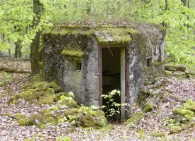 Ligne Maginot - FM20 - VOEGELSMATT 7 - (Blockhaus pour arme infanterie) - 