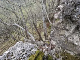 Ligne Maginot - COL DE SEGRA NORD 2 - (Blockhaus pour arme infanterie) - 