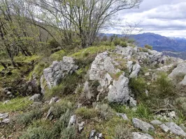 Ligne Maginot - COL DE SEGRA NORD - (Observatoire d'infanterie) - Le créneau de défense et la tranchée reliant le blockhaus.