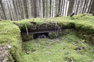 Ligne Maginot - VOEGELSMATT 10 - (Cuve pour arme d'infanterie) - 